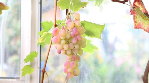 ���������� ������ �18 - ����� ���������, ������������ ���������, ����������� ���������, ������������ ���������, ��������